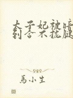 太子妃被暗卫C到合不拢腿