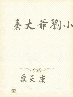 秦大爷刘小静