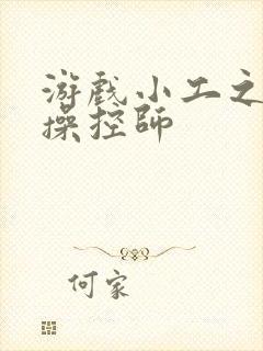 游戏小工之元素操控师