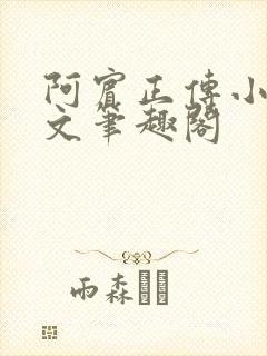 阿宾正传小说全文笔趣阁