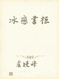 冰恋书柜封面