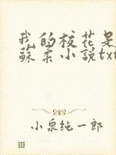 我的校花是福姬苏柔小说txt