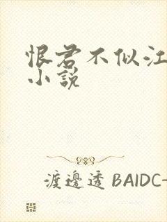 恨君不似江楼月小说封面