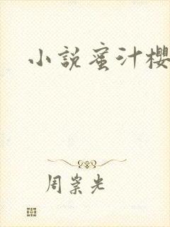 小说蜜汁樱桃