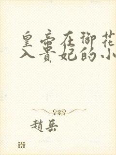 皇帝在御花园进入贵妃的小说