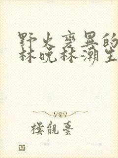 野火变异的父爱林晚林潮生