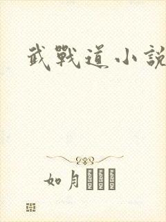 武战道小说