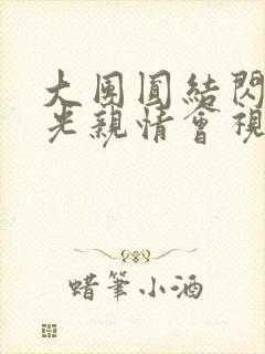 大团圆结闪闪发光亲情会视频