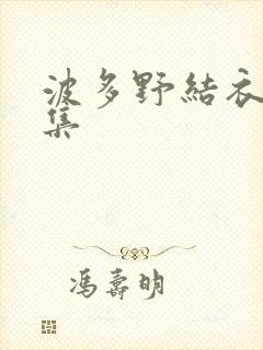 波多野结衣作品集封面