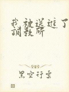 我被送进了私奴调教所