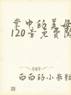 掌中的美母版主120章免费阅读封面