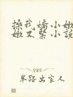 搡我娇小嫩苞又嫩又紧小说封面