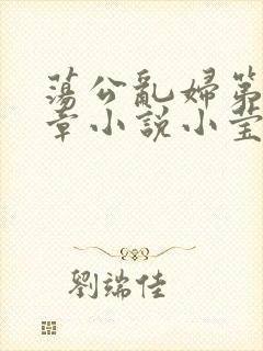 荡公乱妇第51章小说小莹