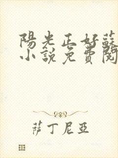 阳光正好苏玥玥小说免费阅读封面
