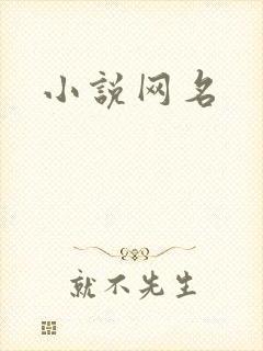 小说网名