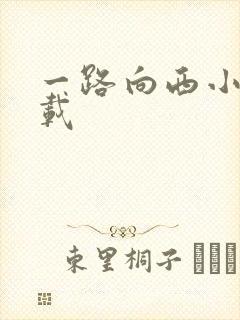 一路向西小说下载