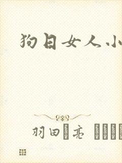 狗日女人小说