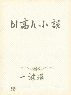 bl高h小说