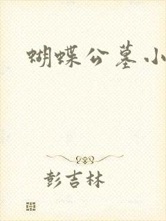 蝴蝶公墓小说