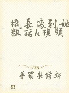机长脔到她哭h粗话h视频