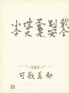 小坏蛋别戴套了今天是安全期封面
