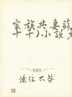 家族共妻苏苏(十千)小说免费