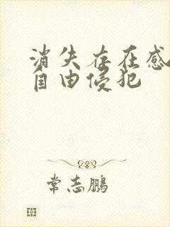 消失存在感消失自由侵犯封面