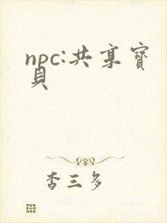 npc:共享宝贝封面