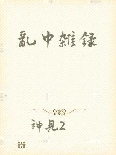 乱中杂录