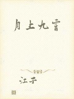月上九霄封面