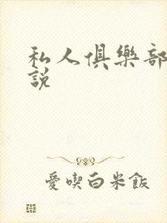 私人俱乐部 小说封面