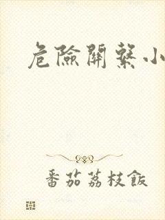 危险关系小说