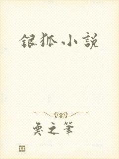 银狐小说