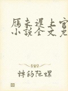 雁未迟上官穿越小说全文免费阅读