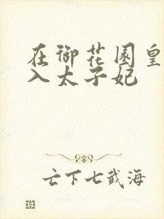 在御花园皇上进入太子妃封面