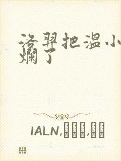 洛羿把温小辉做烂了