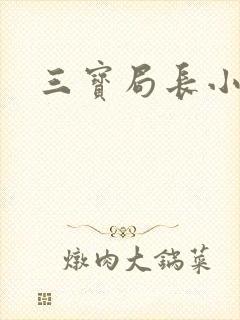 三宝局长小说封面