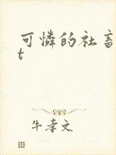 可怜的社畜txt