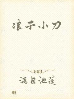 浪子小刀