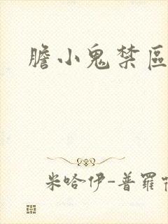 胆小鬼禁区