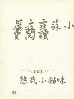 厉夜霆苏小汐免费阅读