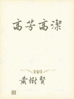 高芳高洁封面