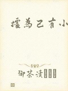 据为己有小说