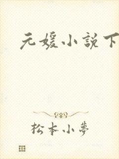 元媛小说下载封面