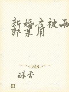 新婚夜被两个伴郎享用封面