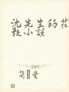沈先生的花式管教小说