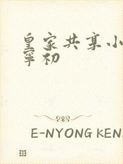 皇家共享小公主宁初