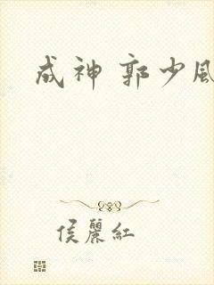 成神 郭少风封面