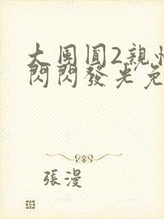 大团圆2亲情会闪闪发光免费