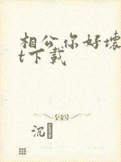 相公你好坏txt下载
